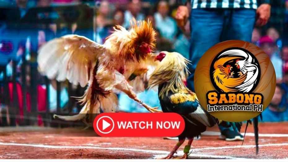 cash cats casino where to bet on champions league